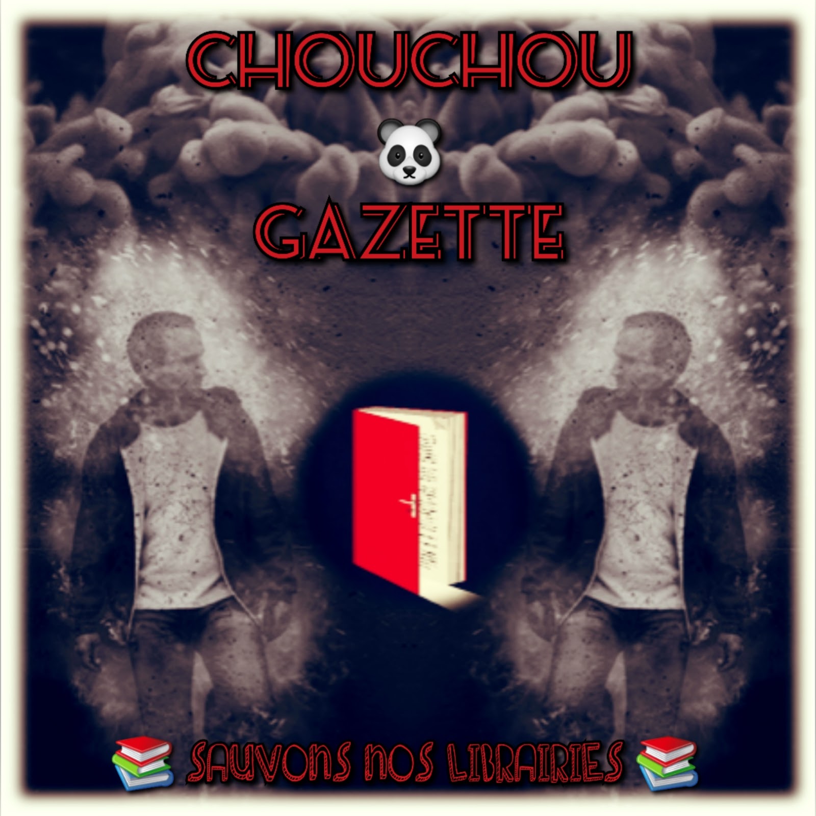 Lire la suite à propos de l’article ChouchouGazette n°5 – Avec Estelle et la librairie “Au Parchemin” de Crozon !