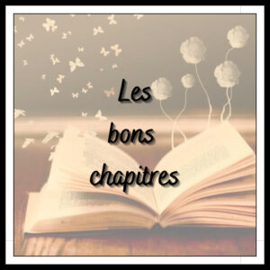 Lire la suite à propos de l’article Les bons chapitres \ Benoît Lacoste et la librairie “Aux Feuilles Volantes”