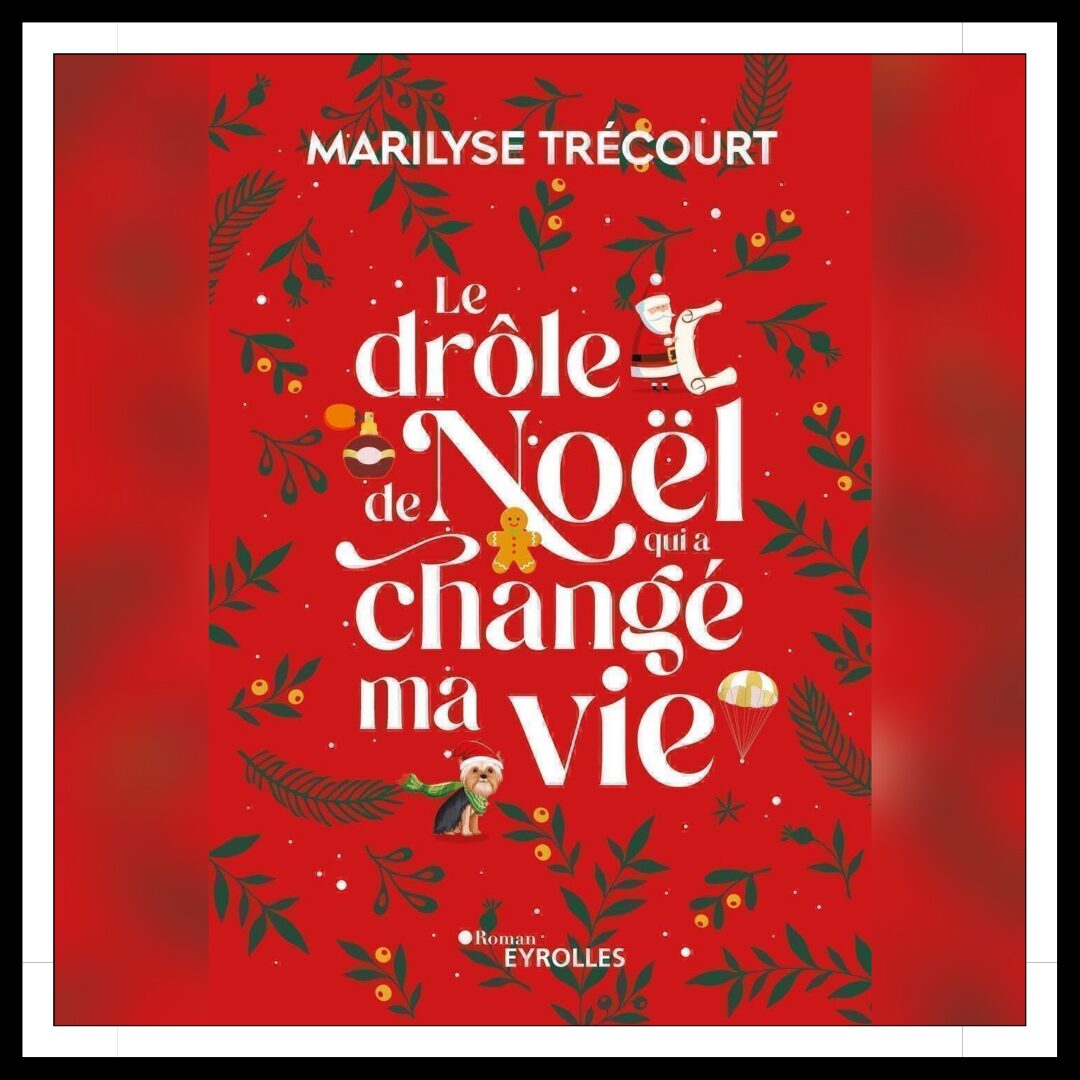 Lire la suite à propos de l’article Chroniques 2023 \ Le drôle de Noël qui a changé ma vie de Marilyse Trécourt