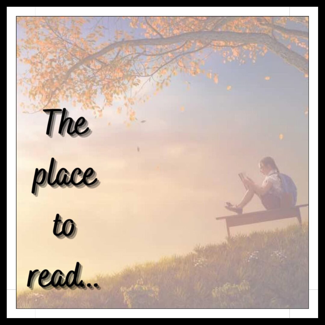 Lire la suite à propos de l’article The place to read… Avec Wendall Utroi !