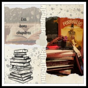 Lire la suite à propos de l’article Les bons chapitres… Avec Sarah !