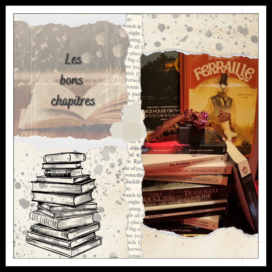 Lire la suite à propos de l’article Les bons chapitres… Avec Sarah !