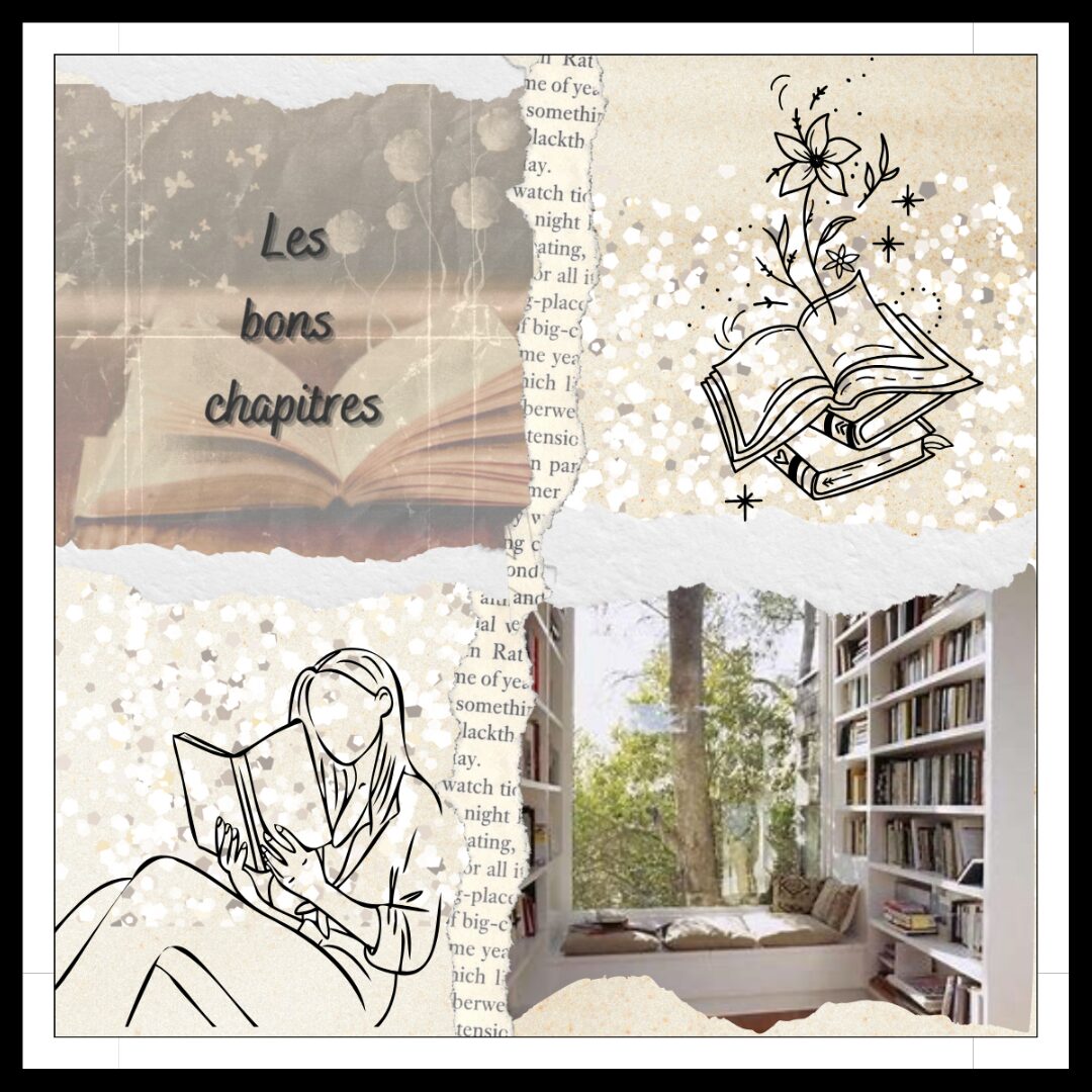 Lire la suite à propos de l’article Les bons chapitres… Avec Amandine !