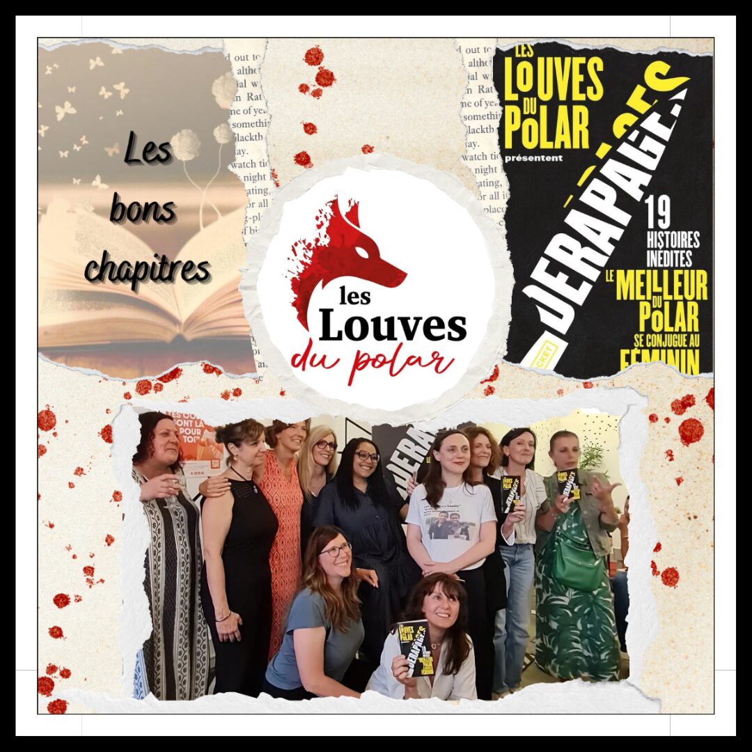 Lire la suite à propos de l’article Les bons chapitres… Avec les Louves du Polar pour leurs “Dérapages” !