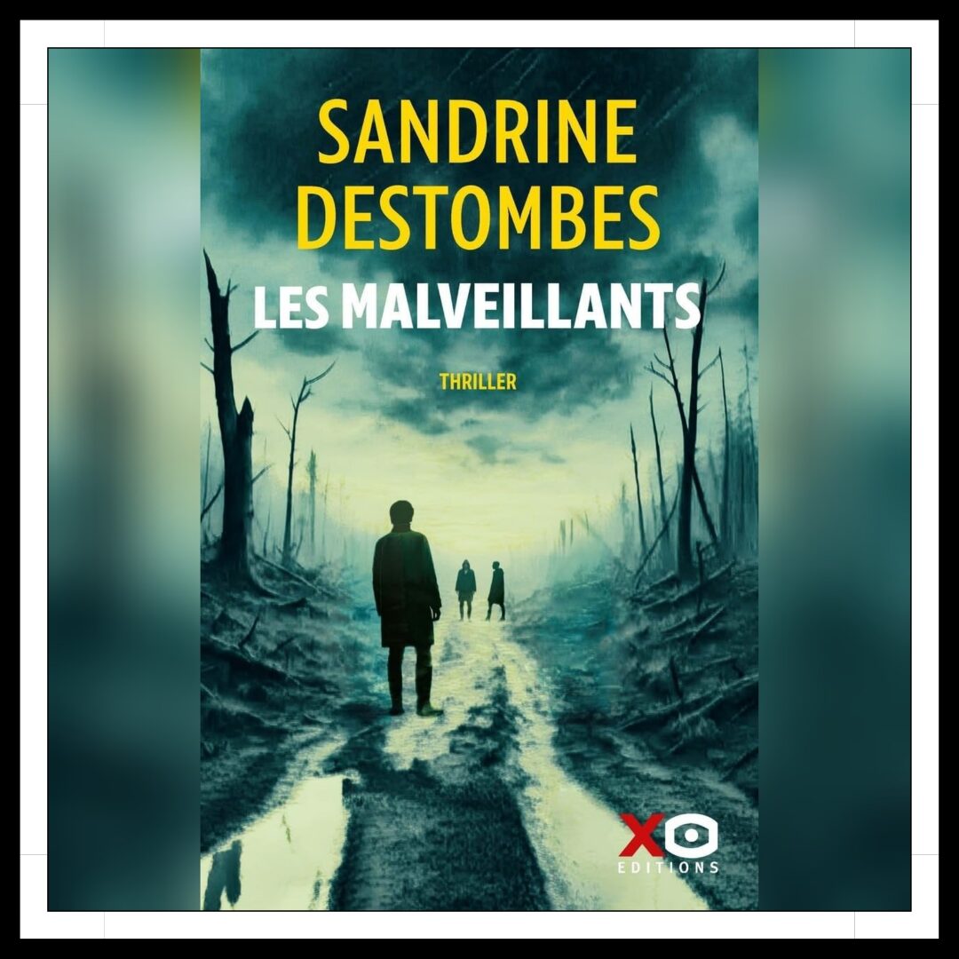 Lire la suite à propos de l’article Chroniques 2025 \ Les Malveillants de Sandrine Destombes